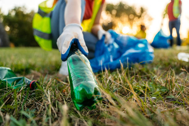 Best Yard Cleanup Services  in New Haven, WV